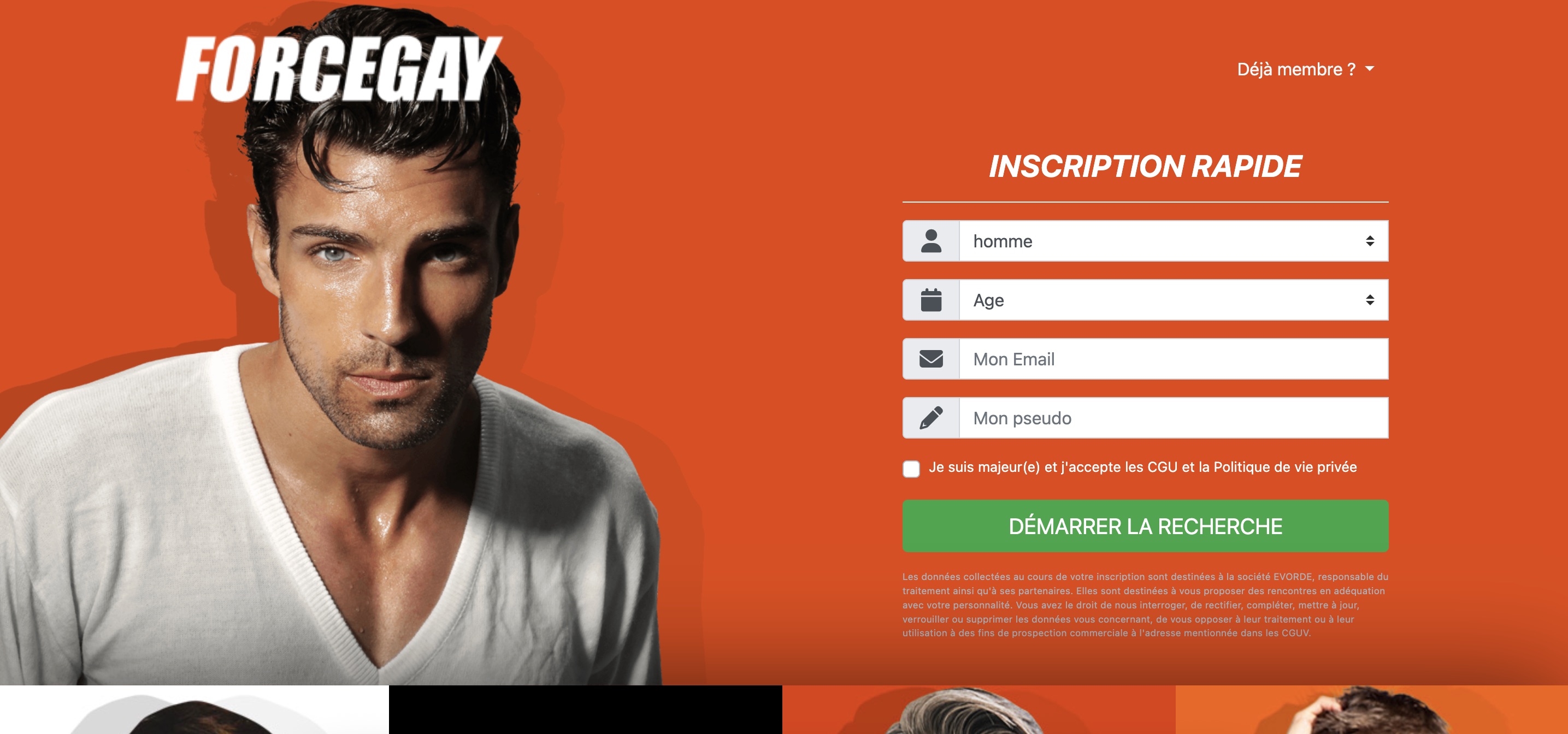 Capture de l'interface Force Gay montrant des profils et un tchat actif