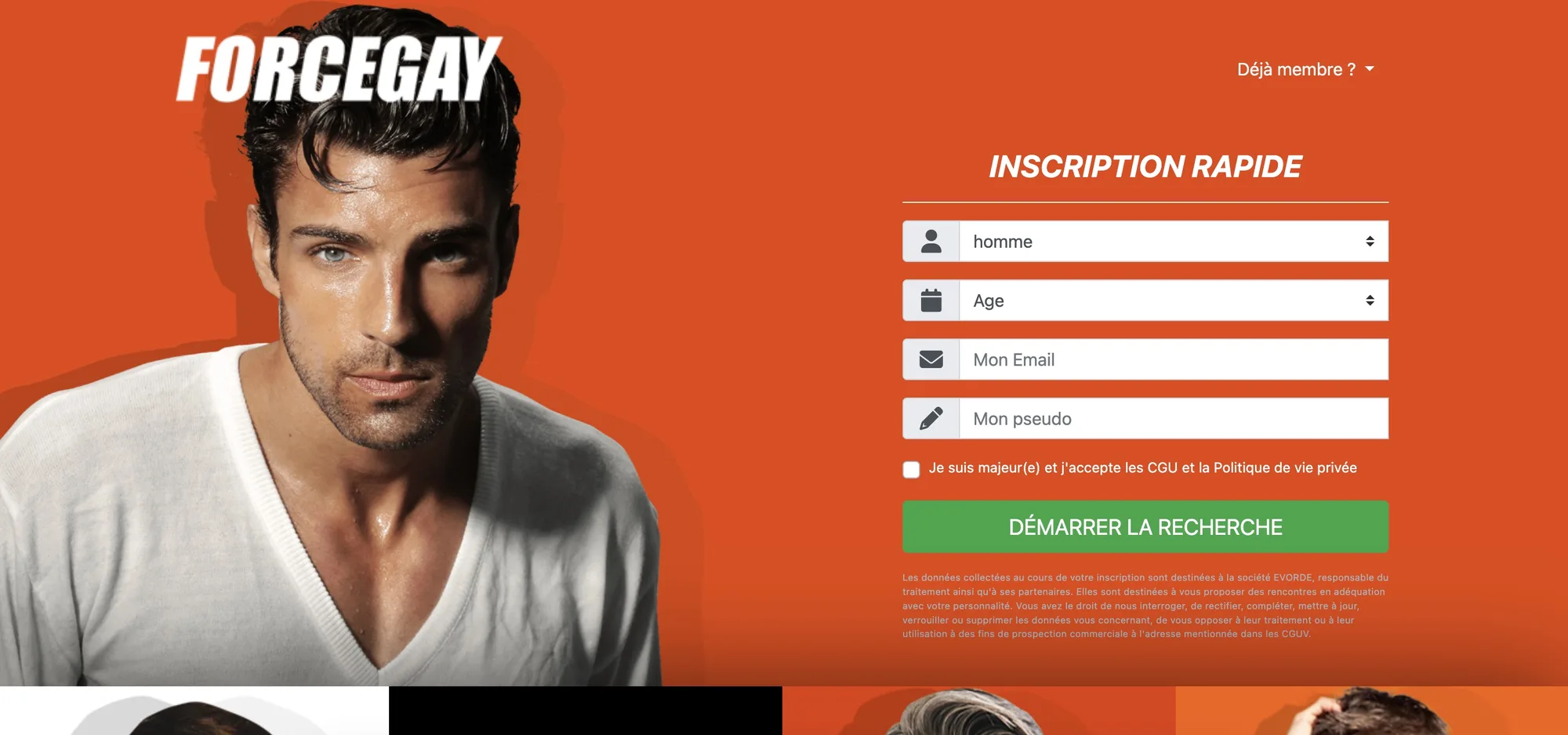 Capture de l'interface Force Gay montrant des profils et un tchat actif